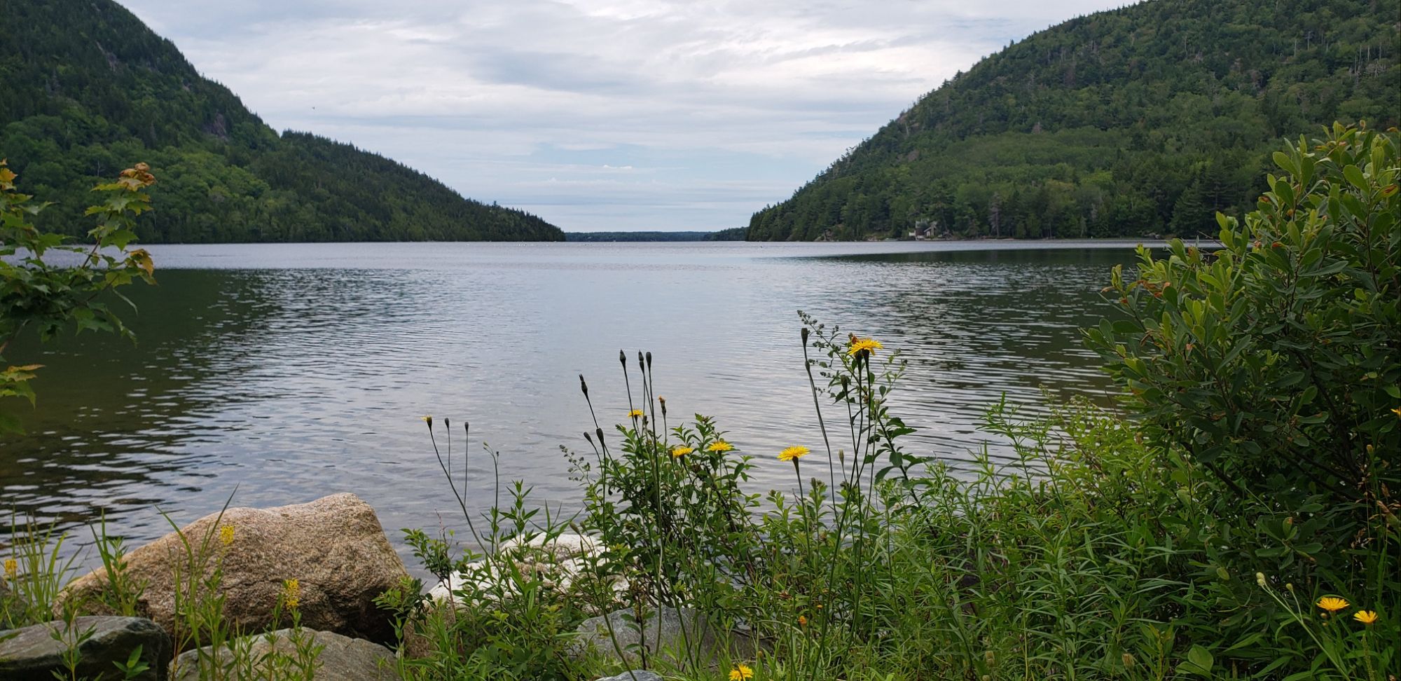 Solo Trip Mount Desert